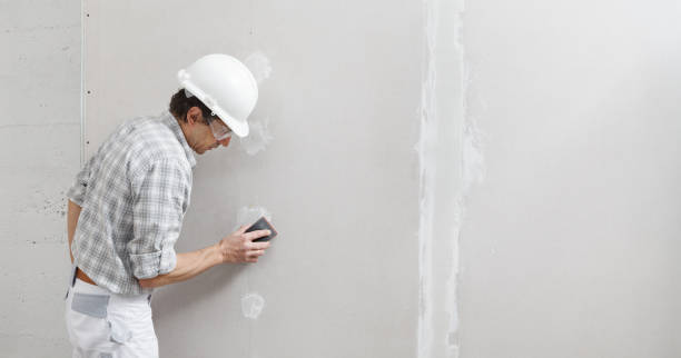 Best Dehumidification Services  in Santa Rosa, TX