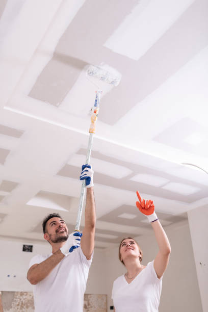 Best Industrial Mold Remediation  in Santa Rosa, TX