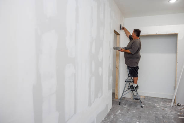 Best Biohazard Mold Removal  in Santa Rosa, TX
