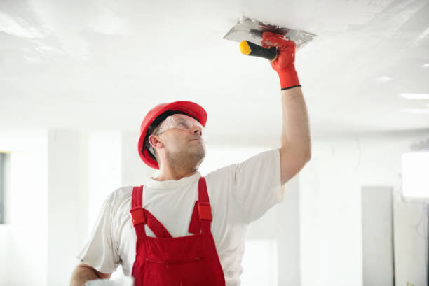 Santa Rosa, TX Mold Removal Company